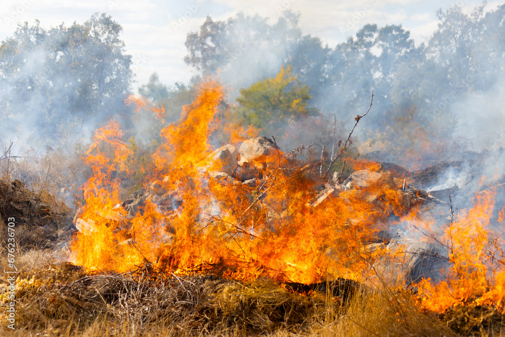 steppe fires during severe drought completely destroy fields. Disaster causes regular damage to environment and economy of region. The fire threatens residential buildings. Residents extinguish fire