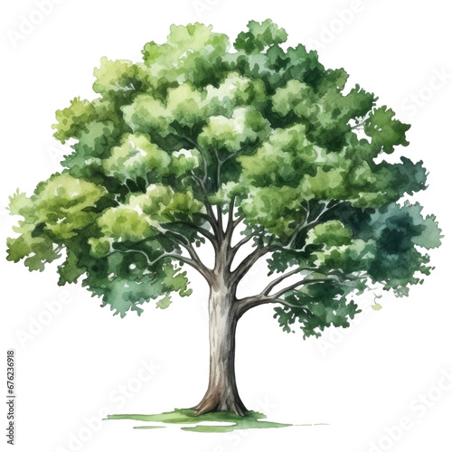 Transparent png clipart with beautiful green tree design, ai generative