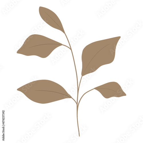  leaves illustration