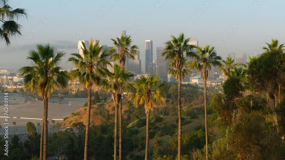 Green palm trees USA CA, aerial view of green park with scenic Los Angeles Downtown views on golden sunrise. Cinematic shot of Beautiful green urban park with high rise modern buildings on background Green palm trees USA CA, aerial view of green park with scenic Los Angeles Downtown views on golden sunrise. Cinematic shot of Beautiful green urban park with high rise modern buildings on background