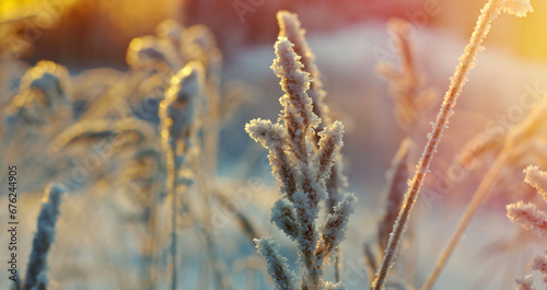 Winter scene © Fanfo
