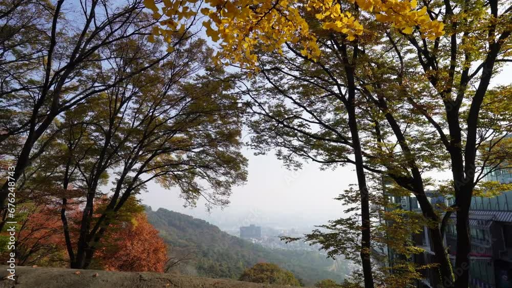 a serene autumn scene with golden leaves adorning trees, a stone wall in the foreground, and a partially visible building in the background, creating a peaceful urban-nature blend.