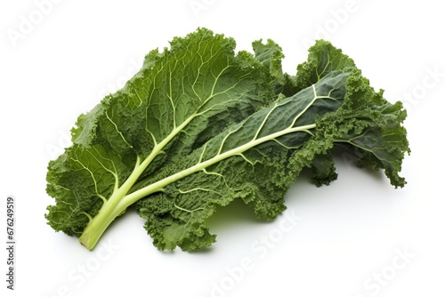 Kale isolated on White