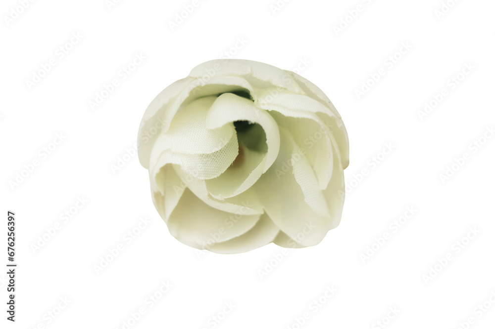 Obraz premium Delicate Rose Alligator Clip - Off-White.png