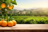 Wooden table top ander orange trees covered with orange fruits. Blurred sunny orchard garden at the background. 