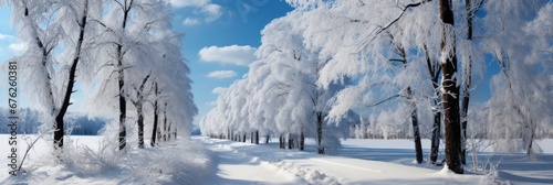 Winter Road Through Snowy Fields Forests , Background Image For Website, Background Images , Desktop Wallpaper Hd Images