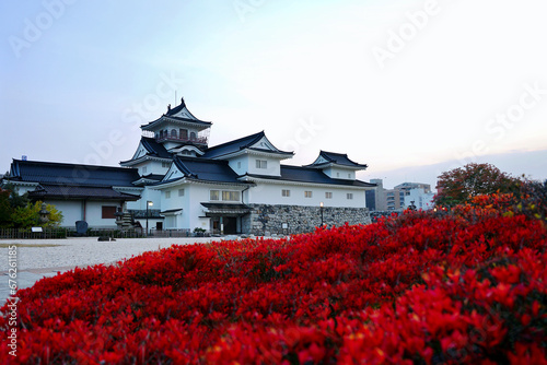 Toyama Castle and the leaves turning bright red in autumn in Toyama, Japan. photo