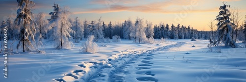 Beautiful Winter Panorama Fresh Powder Snow , Background Image For Website, Background Images , Desktop Wallpaper Hd Images © Pic Hub