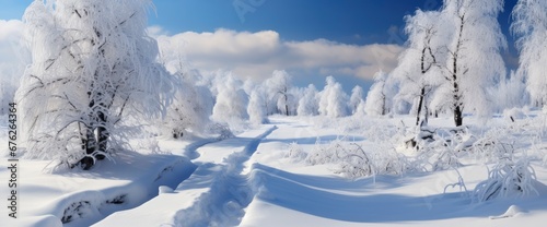 Beautiful Winter Road Natural Sunny Park , Background Image For Website, Background Images , Desktop Wallpaper Hd Images © Pic Hub