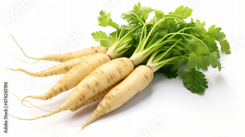 Parsnip isolated on transparent or white background