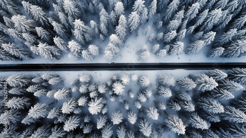 Foto cenital de un carretera en medio de un bosque rodeado de pinos helados en un día de invierno. photo
