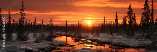 Winter Snow Forest Sunset , Background Image For Website, Background Images , Desktop Wallpaper Hd Images