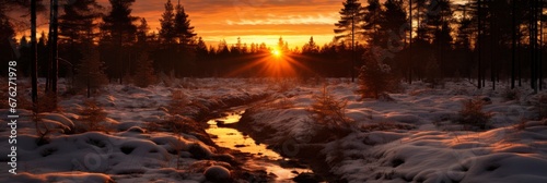 Sunset Wood Between Trees Strains Winter , Background Image For Website, Background Images , Desktop Wallpaper Hd Images