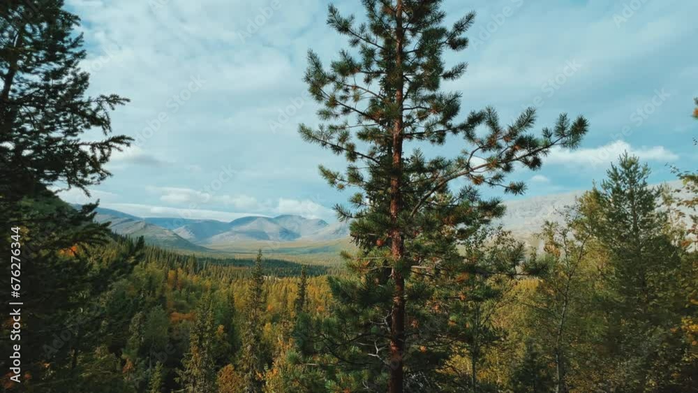 Autumn Arctic landscape in the Khibiny mountains. Kirovsk, Kola Peninsula, Polar Russia. Autumn colorful forest in the Arctic, Mountain hikes and adventures. 4K Autumn Arctic landscape in the Khibiny mountains. Kirovsk, Kola Peninsula, Polar Russia. Autumn colorful forest in the Arctic, Mountain hikes and adventures. 4K