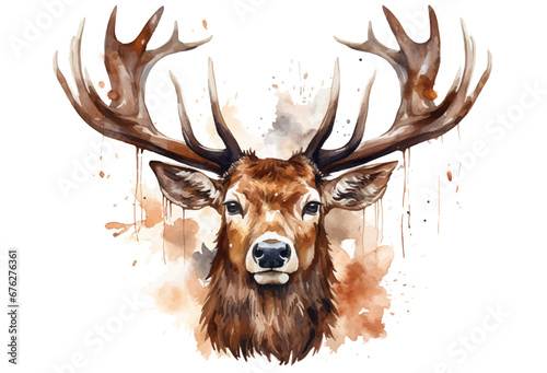 Christmas elk deer,head of deer watercolor vector illustration,elk head with big horns © LeoOrigami