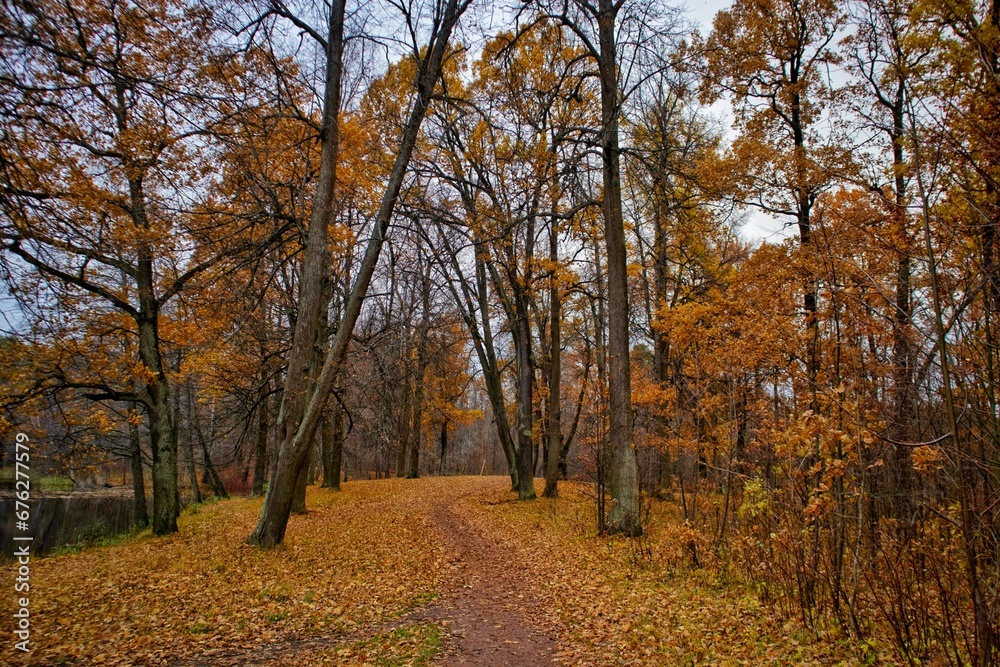 autumn in the park