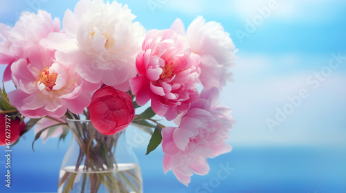 Selective focus on a bouquet of fresh tender white, pink, purple and red peonies in a glass vase against a pastel white and blue background