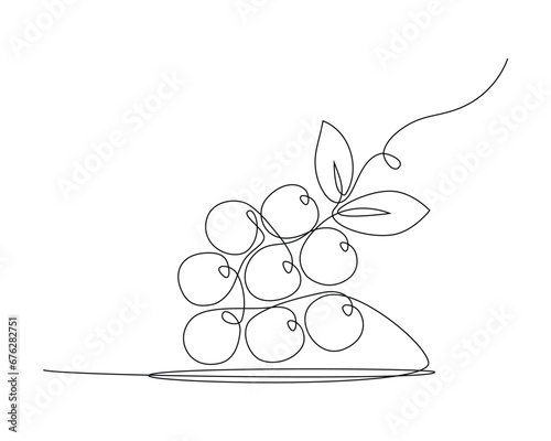 Continuous one single line drawing of bunch of grapes on white background.