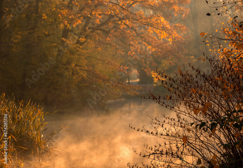 Jesienny, mglisty poranek w parku.
