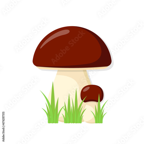 Yellow boletus vector flat illustration. Stylized mushroom with brown cap in green grass on white background.
