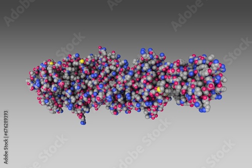 Human gamma herpesvirus 8 in complex with EphA2, space-filling molecular model. Rendering based on protein data bank entry 7b7n. Scientific background. 3d illustration