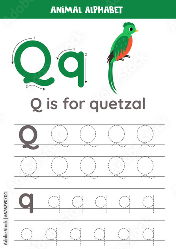 Tracing alphabet letters for kids. Animal alphabet. Q is for quetzal.