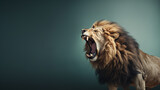 Portrait of a graceful roaring lion's face.