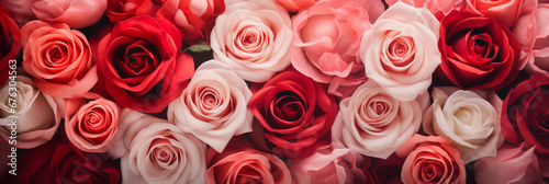 red and pink roses background banner for Valentine's Day