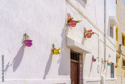 Colorful plant pots, Kasbah of the Udayas, Rabat photo