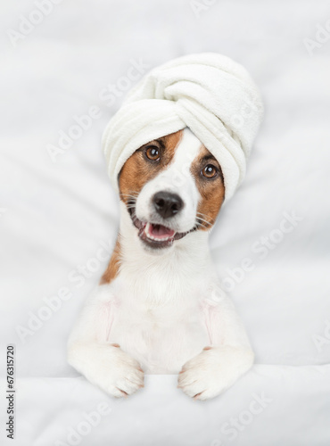 Funny jack russell terrier puppy with towel on it head lying on a bed at home before bedtime. Top down view © Ermolaev Alexandr