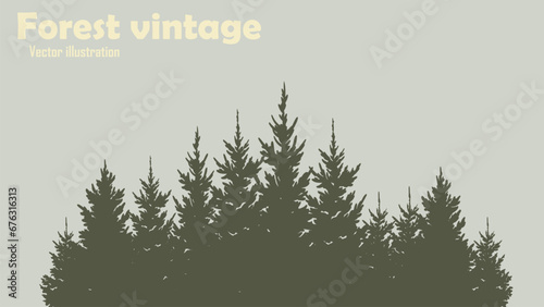 Coniferous forest silhouette vector background