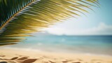 Coconut leaf background with sea,photograph of Sunny Tropical Beach With Palm Leaves Copy Space