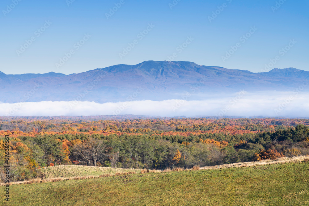 秋の高原 朝靄の紅葉風景