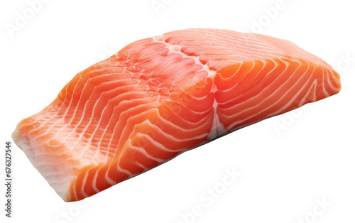 Portrait Fresh Salmon Steak on White or PNG Transparent Background.