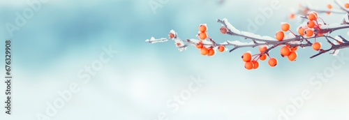 Horizontal winter background, with frozen branch with autumn leaves, copy space for text