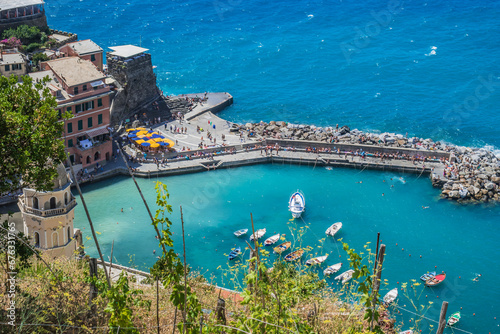 Blurred vine leaves overlooking boats in marina and breakwater with silhouettes of people, Vernazza ITALY photo