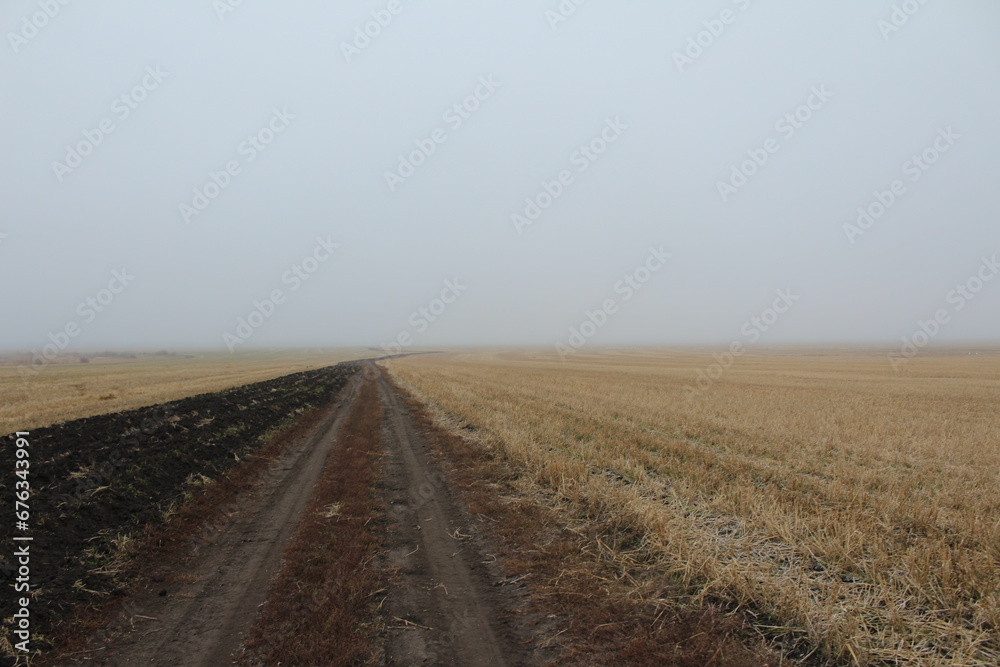 Field road leading into the foggy distance
