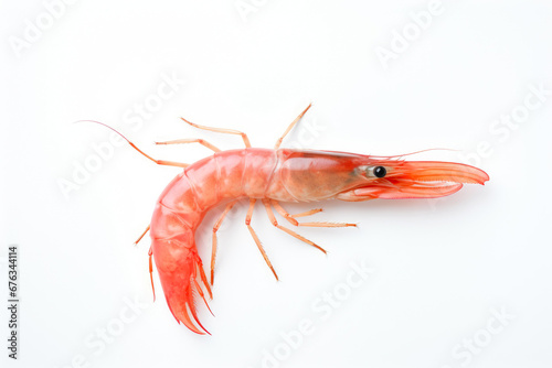 Wallpaper Mural Pristine Background with Shrimp Torontodigital.ca