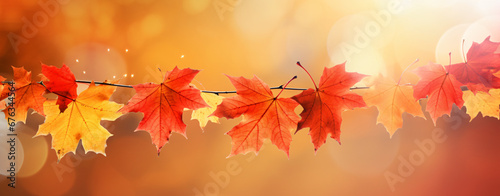 Yellow and red autumn maple leaves on blurred background