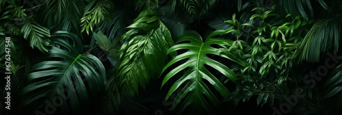 Serene and vibrant captivating low light green tropical forest leaves as a background