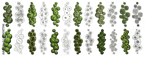 Group of trees for architectural floor plans. Entourage design. Various trees, bushes, and shrubs, top view for the landscape design plan. Vector illustration.