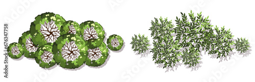Group of trees for architectural floor plans. Entourage design. Various trees, bushes, and shrubs, top view for the landscape design plan. Vector illustration.