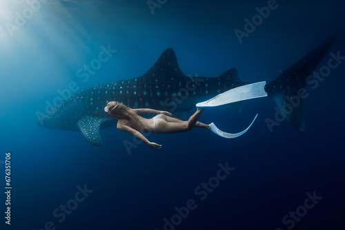 Underwater view of female freediver swimming with giant whale shark photo