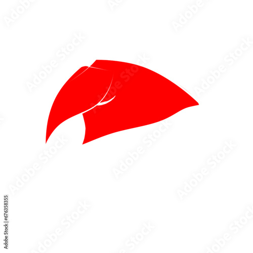 Gorro navidad Vector