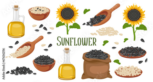 Sunflower set. Sunflower oil, sunflower plant, seeds in a canvas bag, wooden spoon and bowl. Agriculture, food. Vector