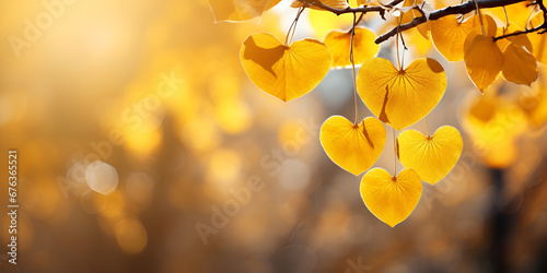 autumn leaves in the forest, Autumn Heart Leaves, Golden Heart Leaf in Autumn, leaf heart shape pinned on rope outside photo