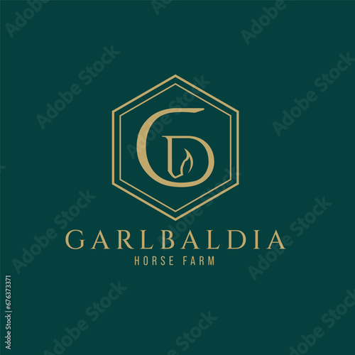 Elegant luxury letter G monogram horse logo, letter G horse logo, horse head logo