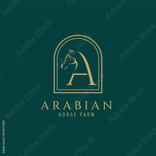 Letter A monogram arabian horse logo, letter a monogram horse logo, arabian horse logo