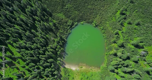Drone flight above Sureanu glacial lake surrounded by an alpine pasture and dense, wild spruce forests and juniper bushes. Sureanu Massif, Carpathia, Romania photo