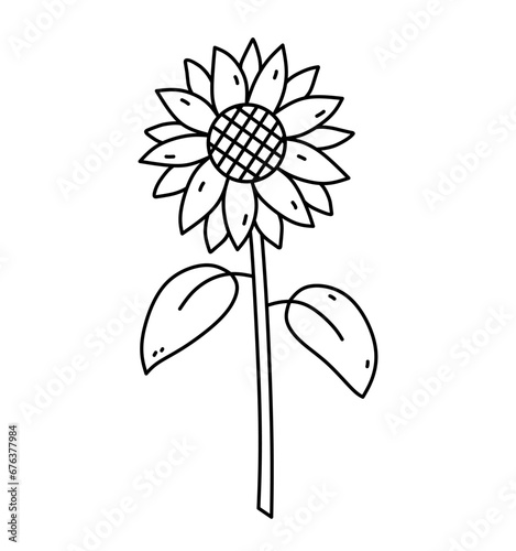 Sunflower isolated on a white background. Vector hand-drawn illustration in doodle style. Perfect for logo, cards, decorations, various designs. Botanical clipart.